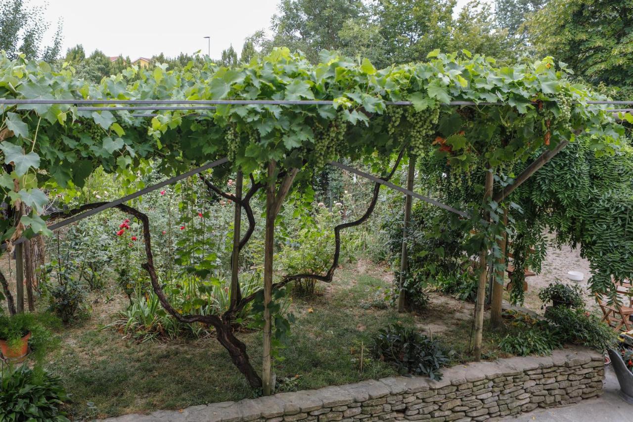 Bed and Breakfast Il Germano Reale Альба Экстерьер фото