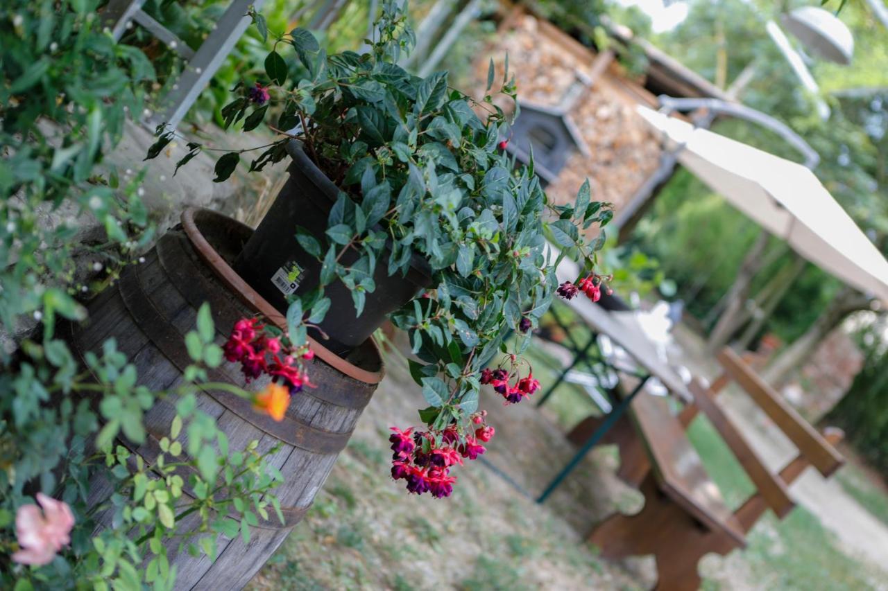 Bed and Breakfast Il Germano Reale Альба Экстерьер фото