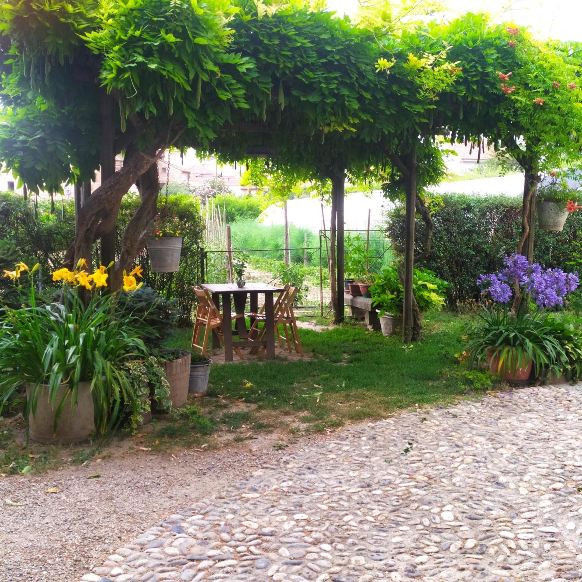 Bed and Breakfast Il Germano Reale Альба Экстерьер фото